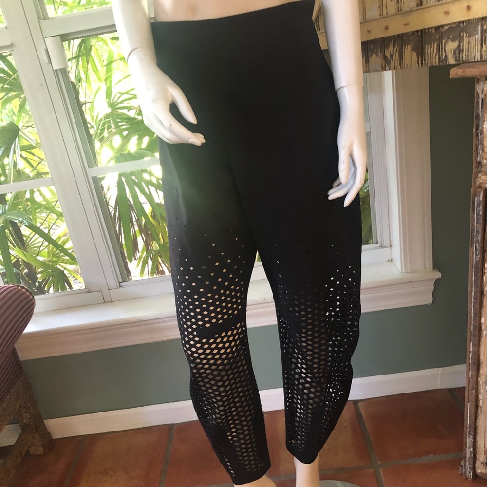 LuLuLemon mesh pants - Picture 3 of 10